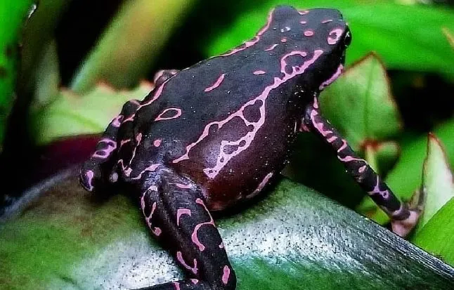 %EC%BA%A1%EC%B2%987.JPG?type=w1