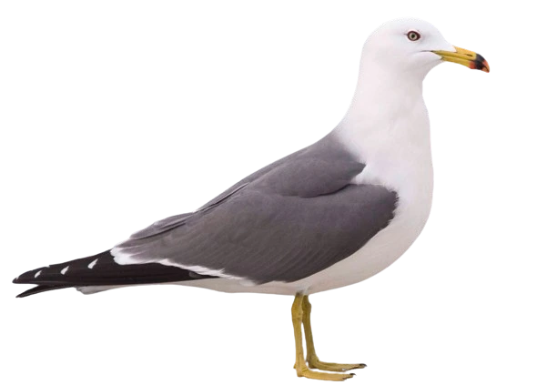 %EB%8B%A4%EC%9A%B4%EB%A1%9C%EB%93%9C_(2).png?type=w1