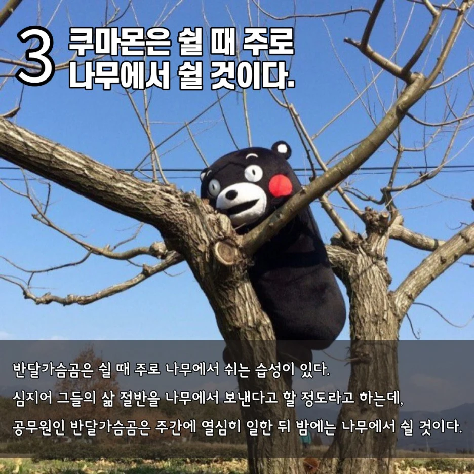 KakaoTalk_20211006_211455704_03.jpg?type=w1