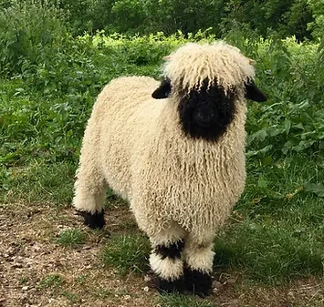 %EC%8A%A4%ED%81%AC%EB%A6%B0%EC%83%B7_2024-02-16_222814.png?type=w1