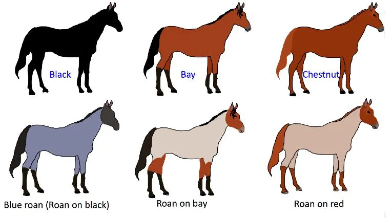 %EC%BA%A1%EC%B2%9816.JPG?type=w1