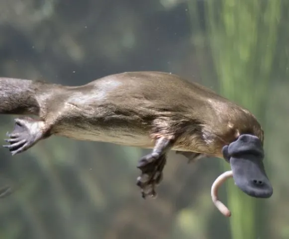 %EC%BA%A1%EC%B2%9815.JPG?type=w1