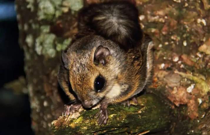 %EC%8A%A4%ED%81%AC%EB%A6%B0%EC%83%B7_2024-01-04_192133.png?type=w1