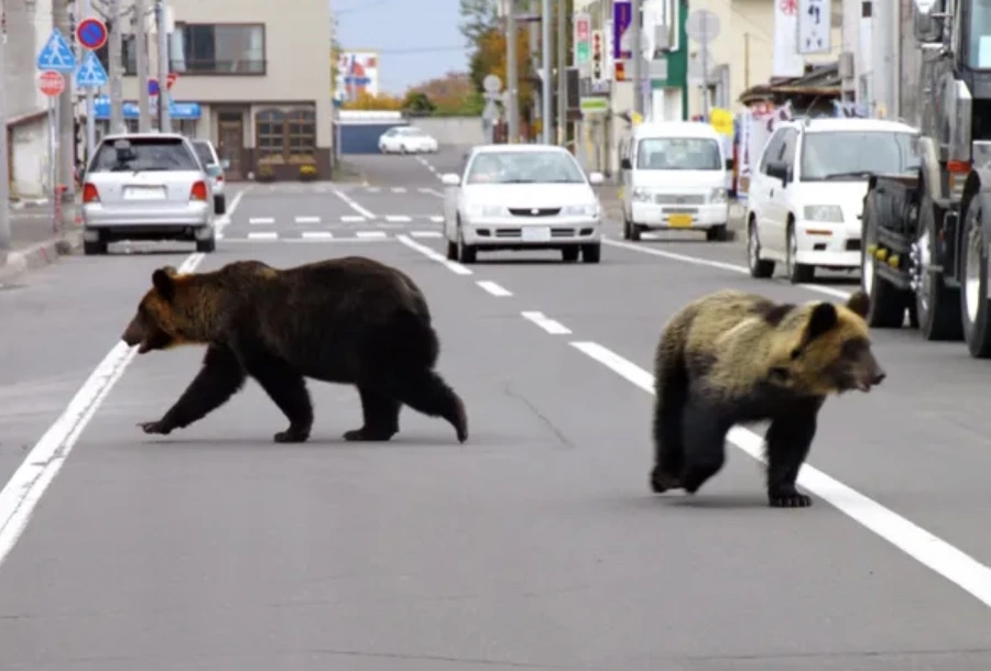 IMG_4900.jpg?type=w1