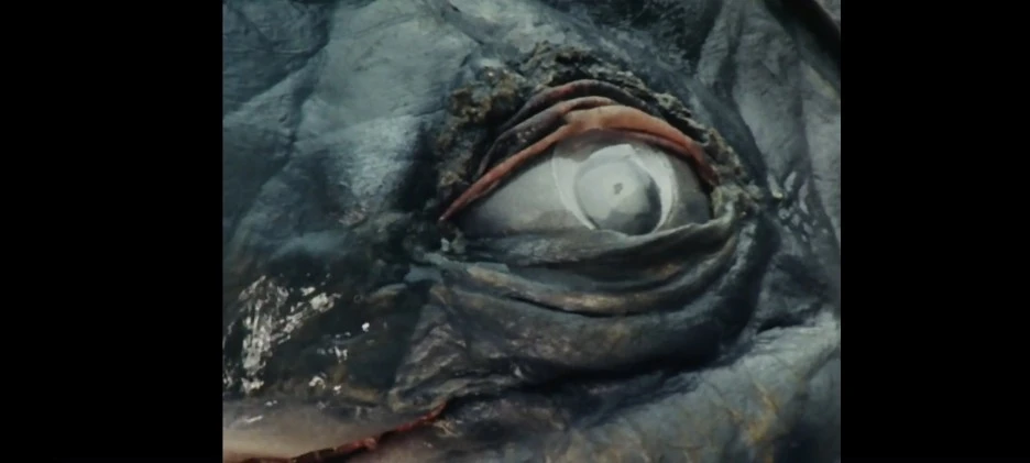 KakaoTalk_20230225_092842058.jpg?type=w1