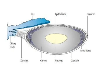 %ED%99%94%EB%A9%B4_%EC%BA%A1%EC%B2%98_2023-03-27_163527.jpg?type=w1