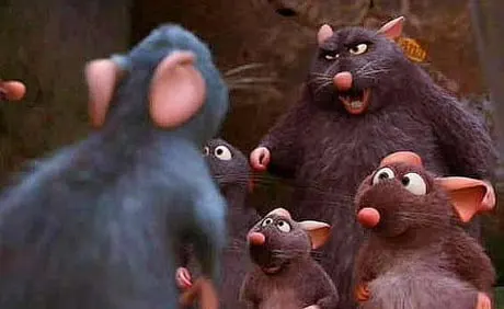 a4RrD4v_460s.jpg?type=w1