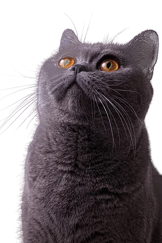 remove-bg-20240401145854.png?type=w1