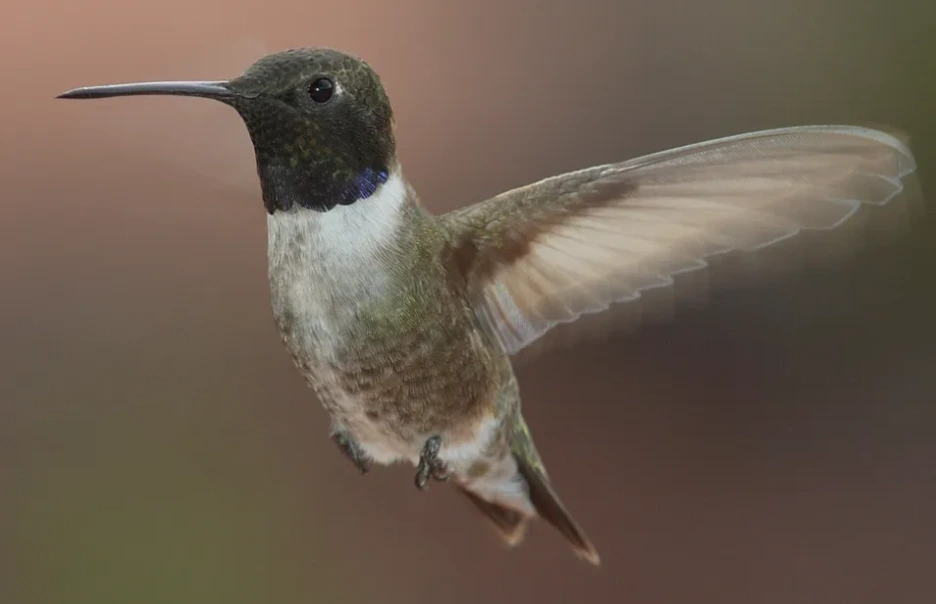 %EC%8A%A4%ED%81%AC%EB%A6%B0%EC%83%B7_2024-05-09_123902.png?type=w1