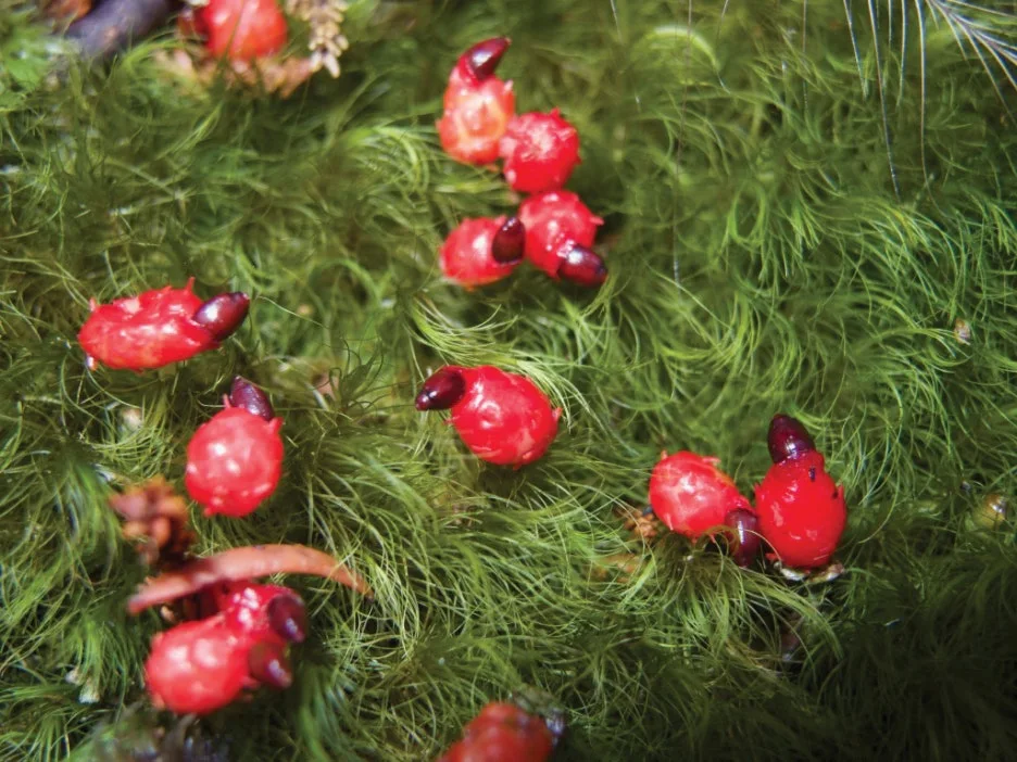 157_GeoNews_06.jpg?type=w1