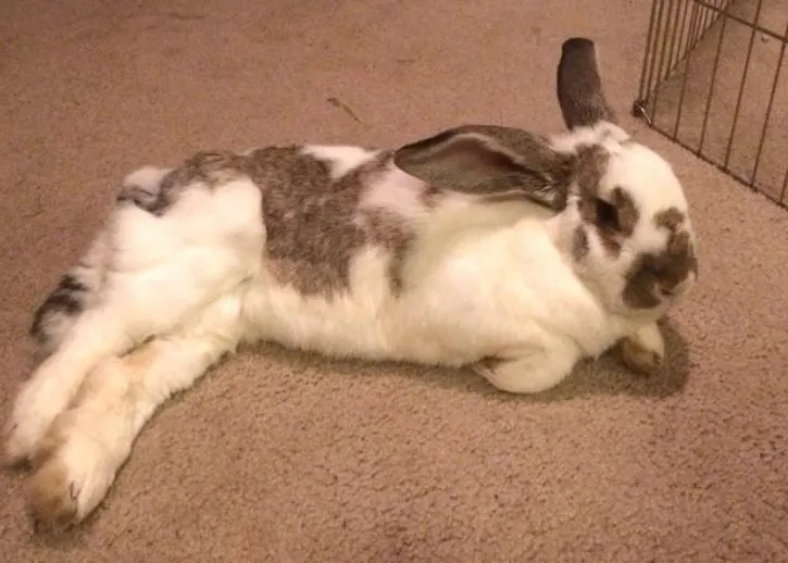 %EC%BA%A1%EC%B2%983.JPG?type=w1