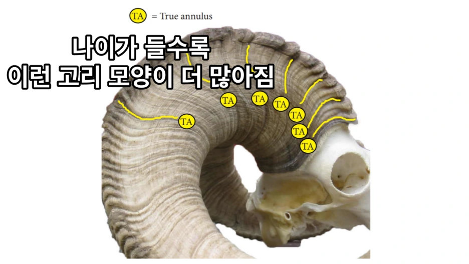 %EC%A0%9C%EB%AA%A9%EC%9D%84-%EC%9E%85%EB%A0%A5%ED%95%B4%EC%A3%BC%EC%84%B8%EC%9A%94_-001.png?type=w1