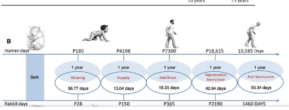 %EC%8A%A4%ED%81%AC%EB%A6%B0%EC%83%B7_2024-05-22_160631.png?type=w1
