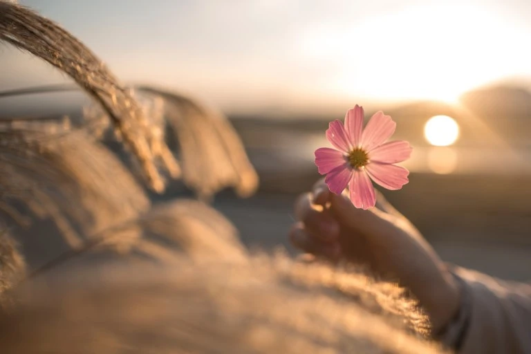 다운로드 (6).jpeg