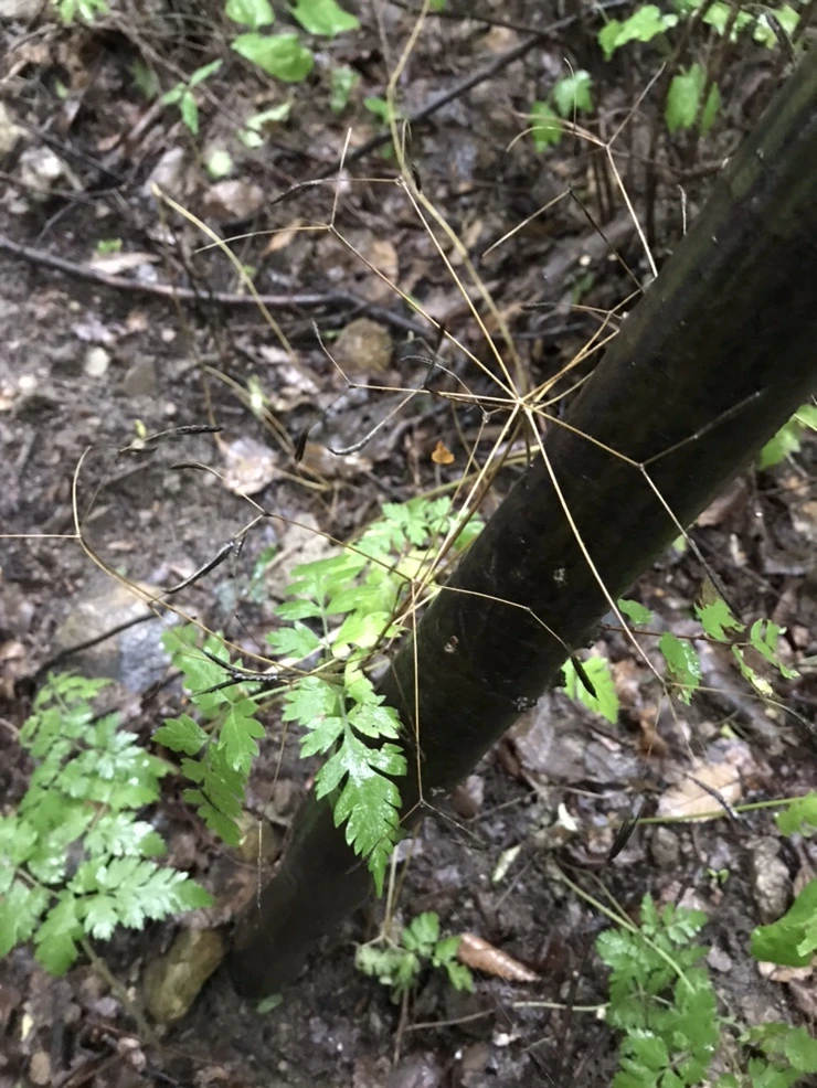 IMG_7233.jpg?type=w773