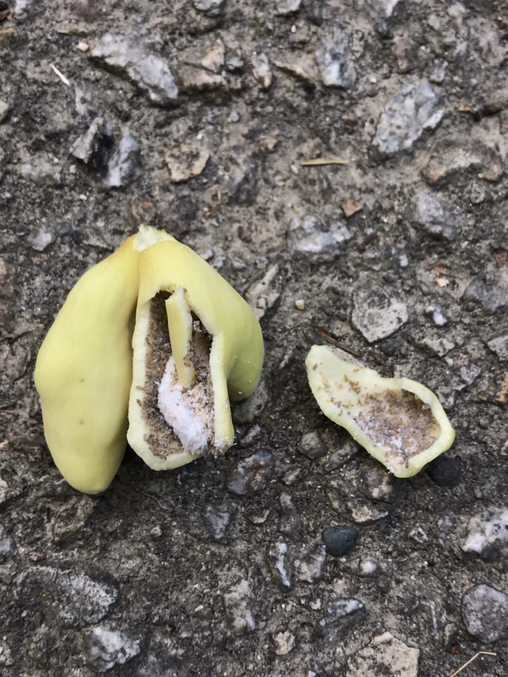 IMG_9663.JPG?type=w773