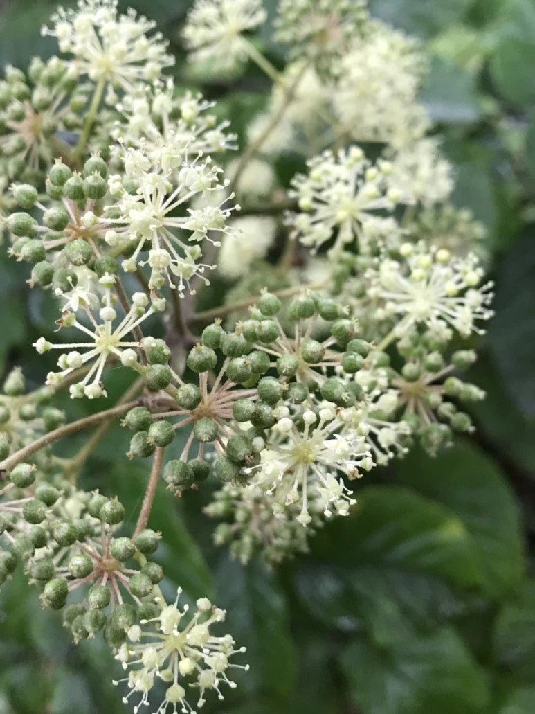 IMG_8131.jpg?type=w773