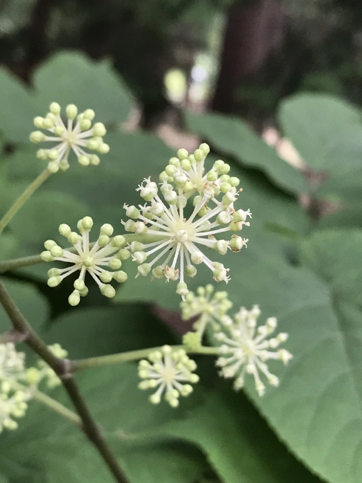 IMG_9327.JPG?type=w773