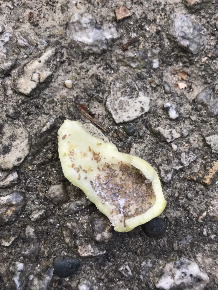 IMG_9664.JPG?type=w773