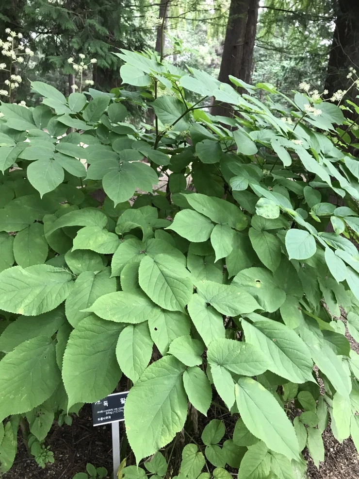 IMG_9325.JPG?type=w773