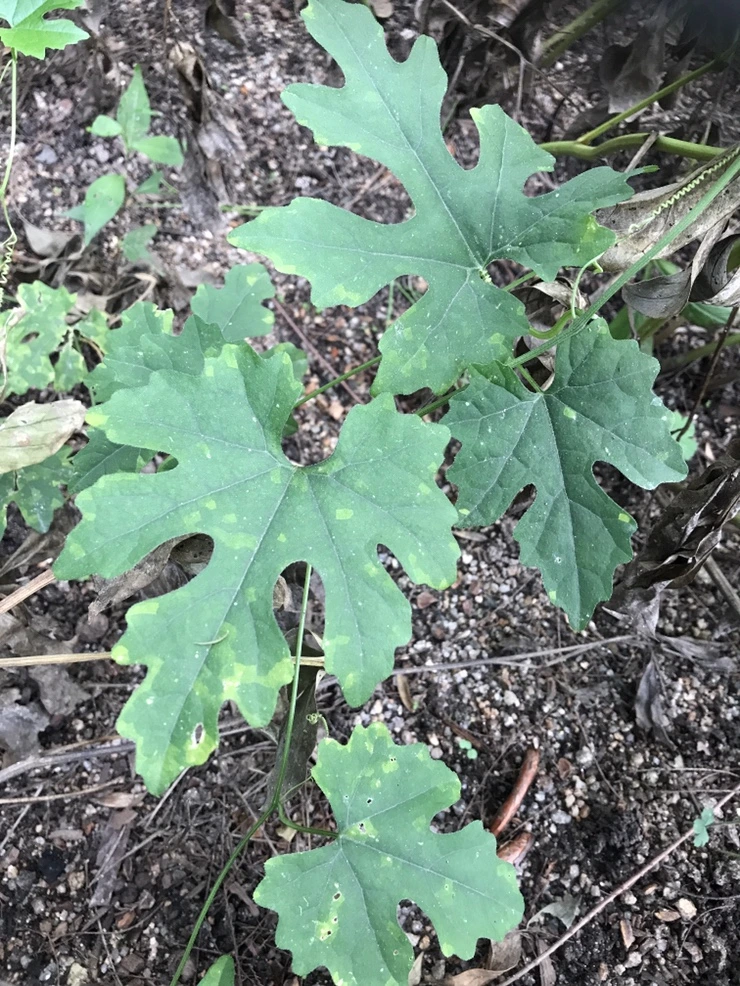 IMG_9306.JPG?type=w773