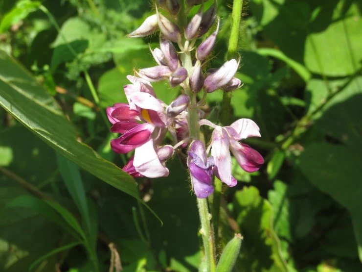 IMG_0810.JPG?type=w2