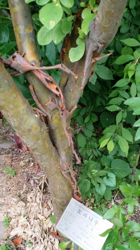 1401606035912_1401604054626.jpg?type=w2