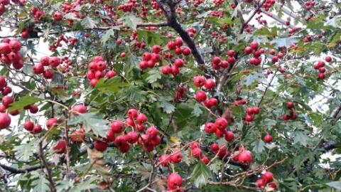 1412659768634_1412498496061.jpg?type=w2