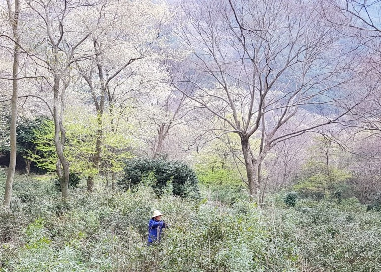 20200410_172600.jpg?type=w773