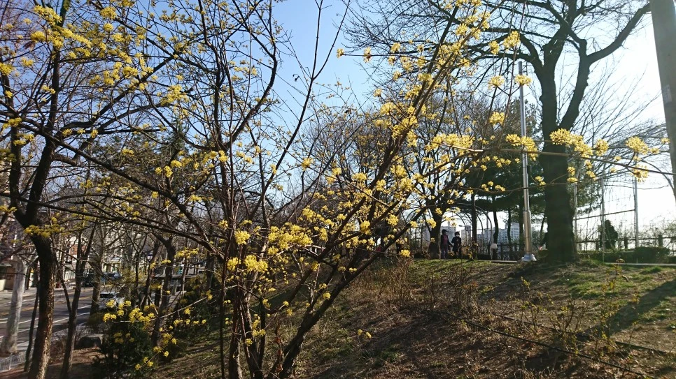 DSC_0226.JPG?type=w966