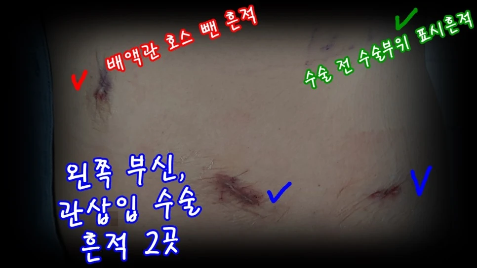 20210924_092601.jpg?type=w966