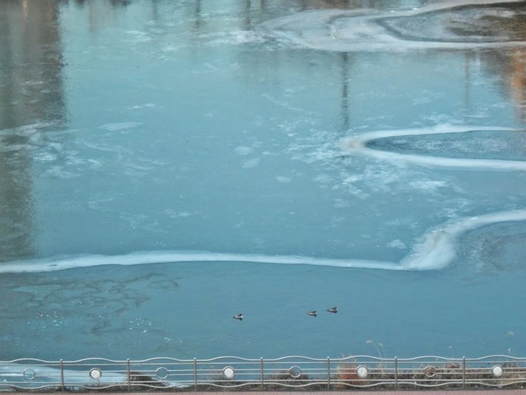 P1200017.JPG?type=w1