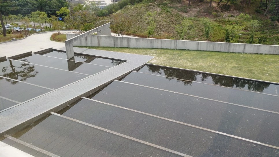 20220519_112650.jpg?type=w966