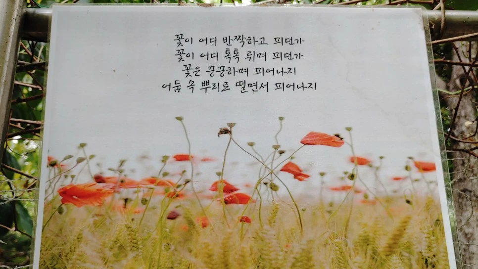 20210729_144218.jpg?type=w966