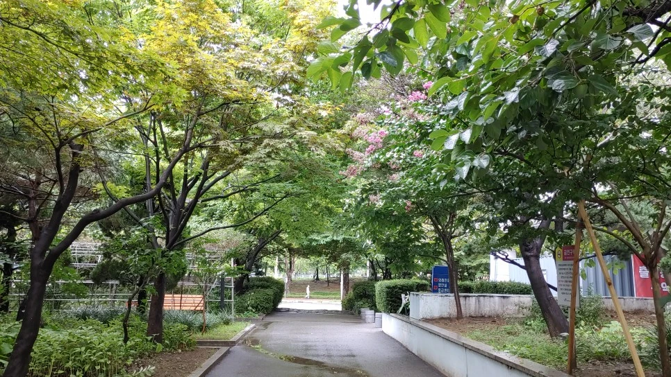 20210824_110544_HDR.jpg?type=w966