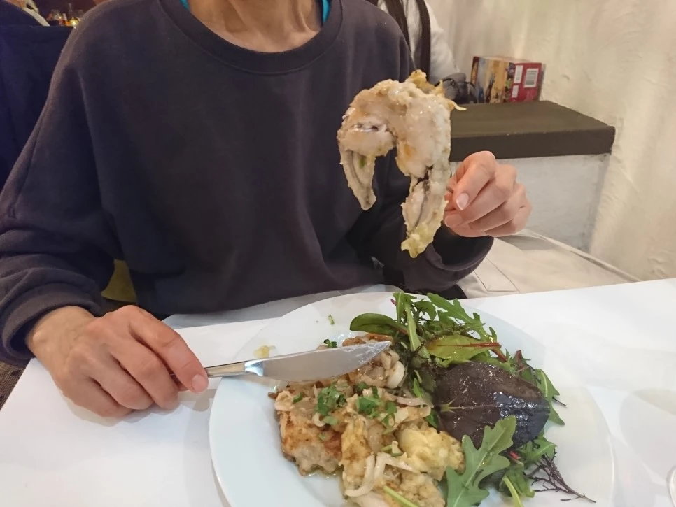 DSC_0537.JPG?type=w966