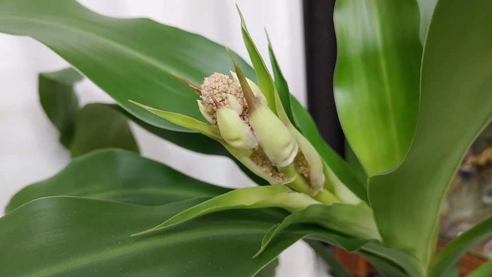 20211117_214508.jpg?type=w966