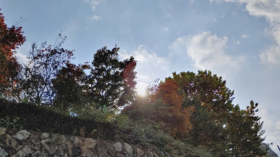 20211101_135004_HDR.jpg?type=w966