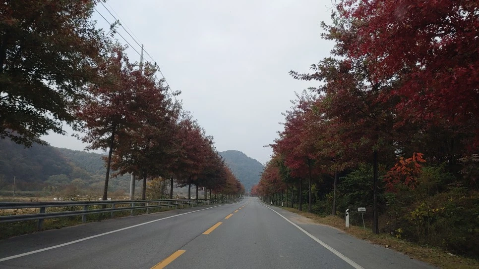 20231026_111913.jpg?type=w966