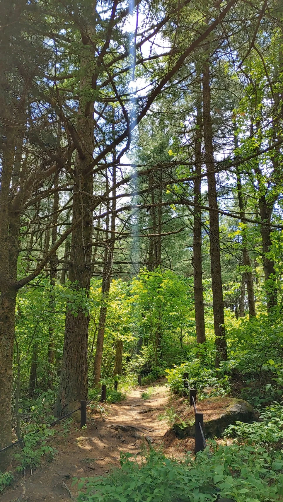 20220527_125951_HDR.jpg?type=w966