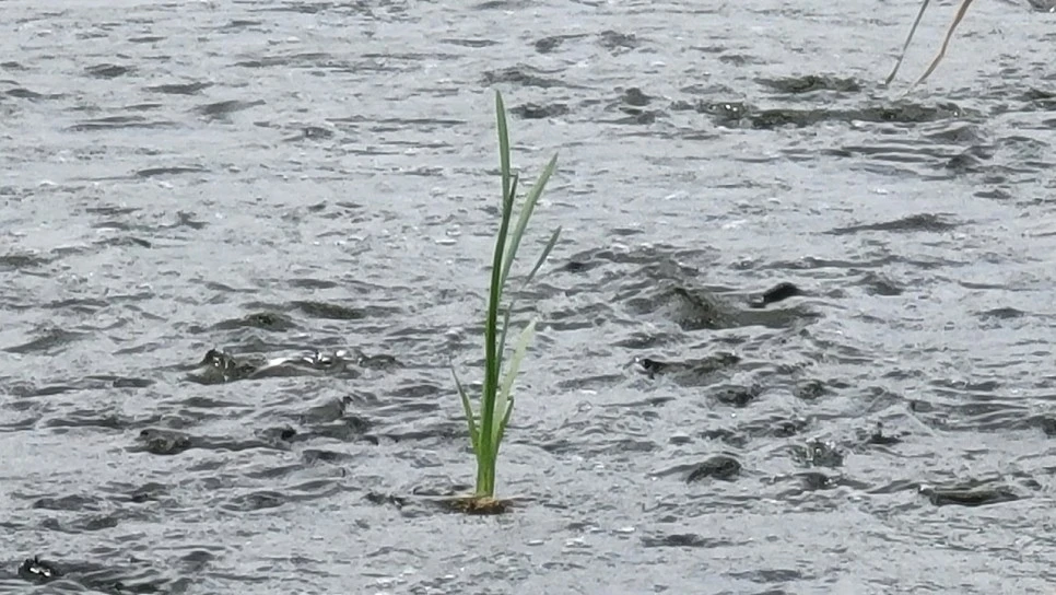 20210626_122508.jpg?type=w966