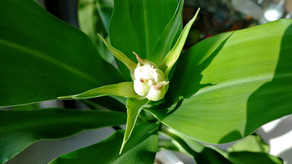 20211116_132209.jpg?type=w966