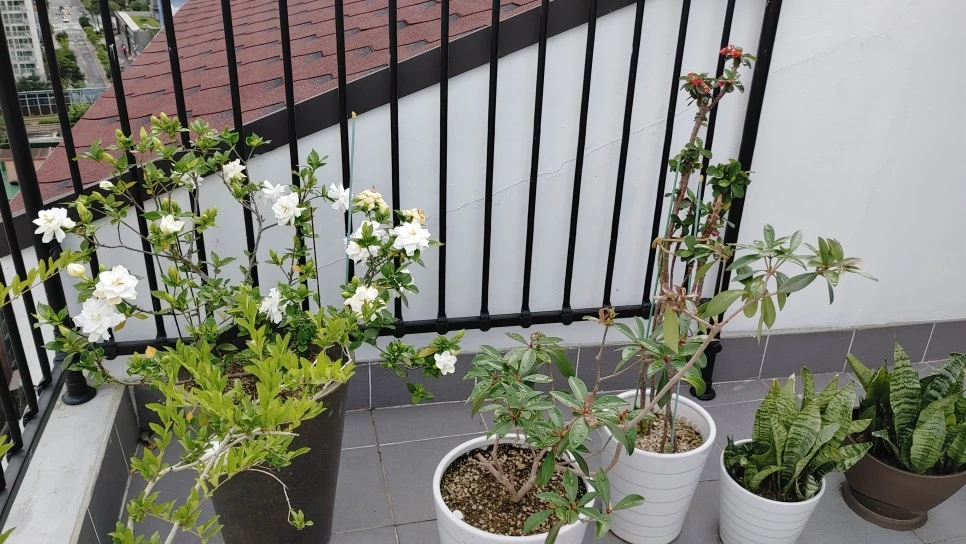 20210707_092052.jpg?type=w966