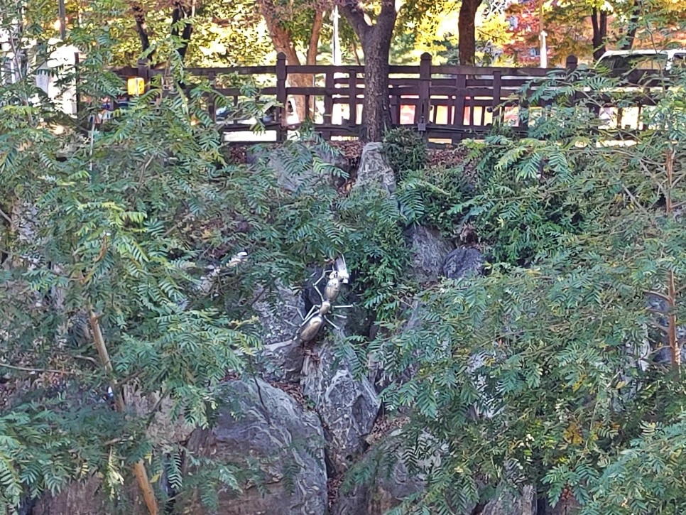 20221017_160208.jpg?type=w966