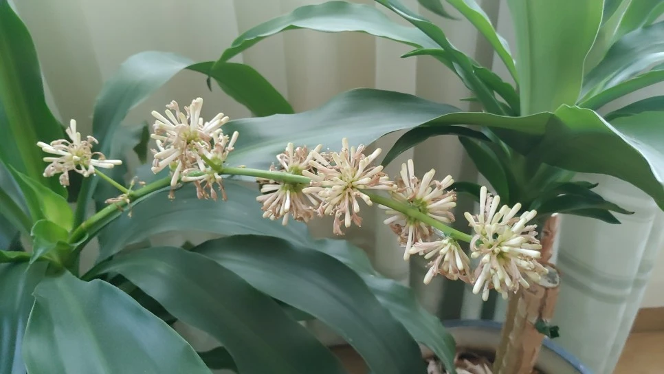 20210404_132415.jpg?type=w966