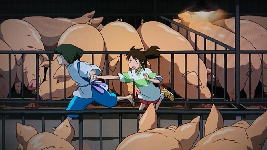 DSC_00231.jpg?type=w966