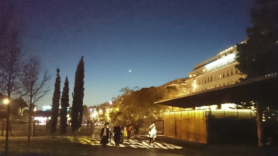 DSC_0494.JPG?type=w966