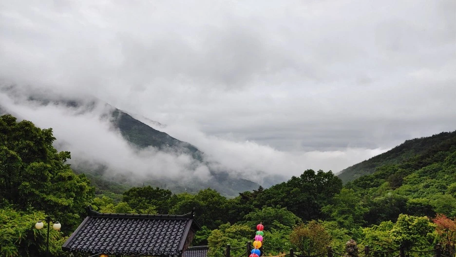 20210515_113246_HDR.jpg?type=w1