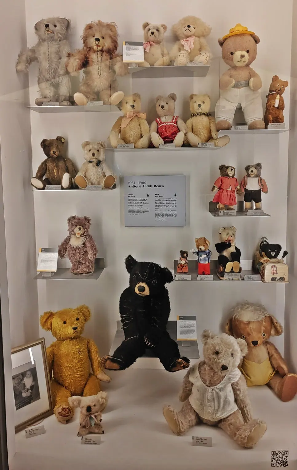 20240612_113638.jpg?type=w966