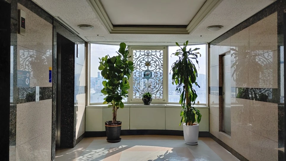 20210817_084339_HDR.jpg?type=w966